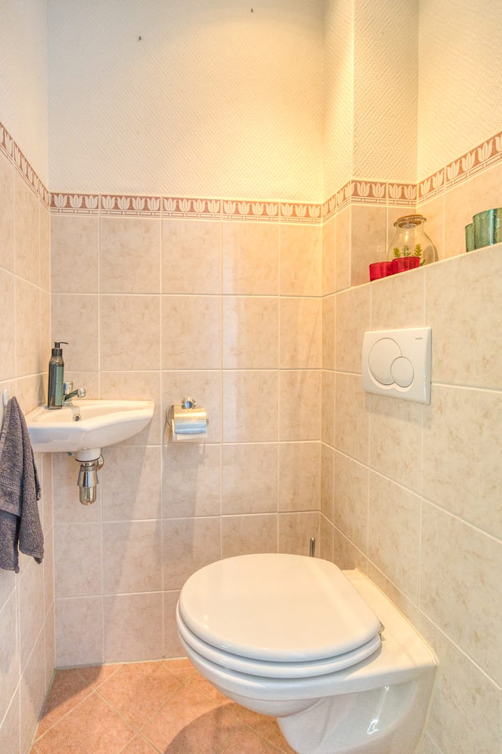 Foto 8 van Zanglijster 20