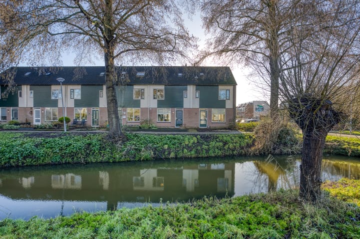 Zanglijster 20 main image