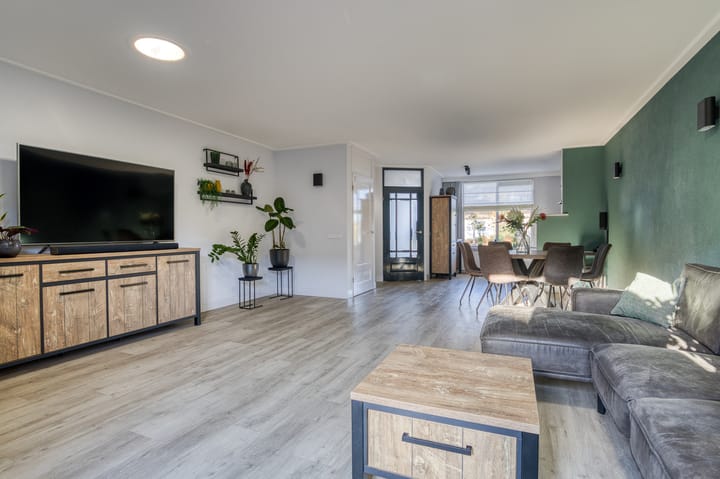 Foto 13 van Zanglijster 20