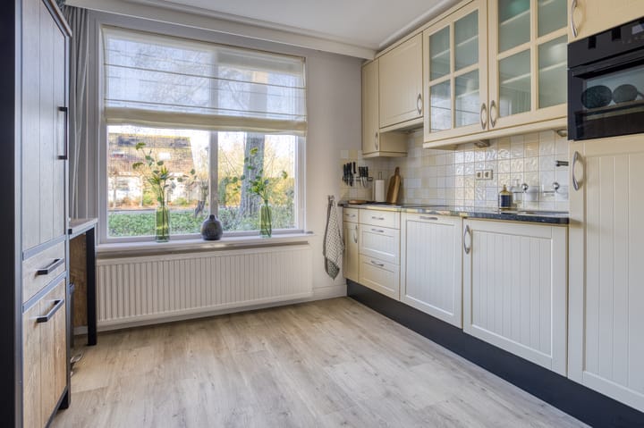 Foto 16 van Zanglijster 20