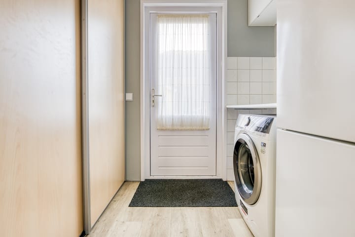 Foto 21 van Zanglijster 20