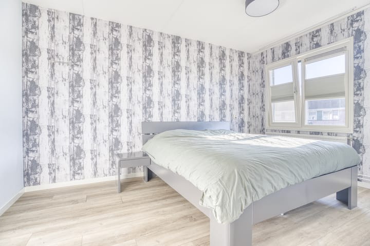 Foto 25 van Zanglijster 20