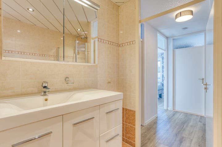 Foto 32 van Zanglijster 20