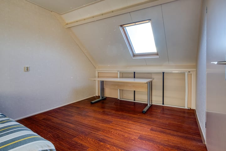 Foto 34 van Zanglijster 20