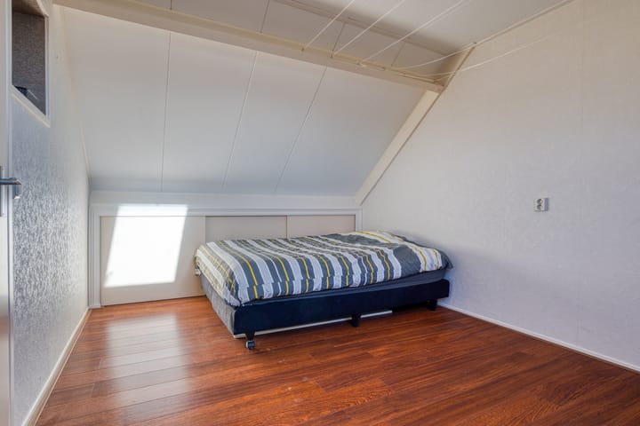 Foto 35 van Zanglijster 20