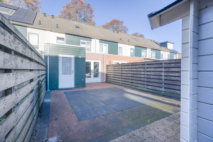 Foto 37 van Zanglijster 20