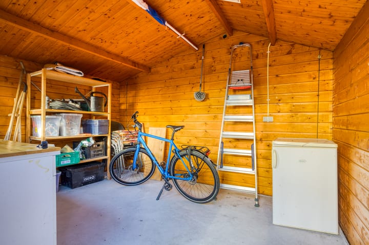 Foto 38 van Zanglijster 20