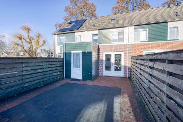 Foto 36 van Zanglijster 20