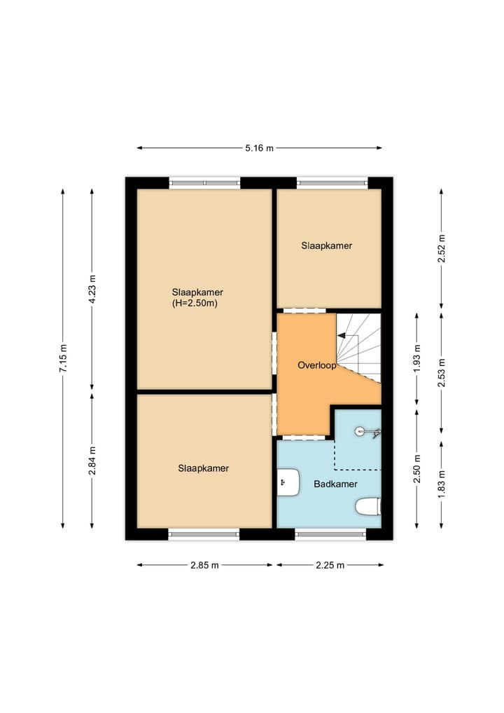 Foto 41 van Zanglijster 20