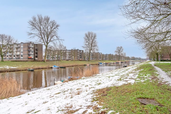 Foto 20 van Maassingel 182