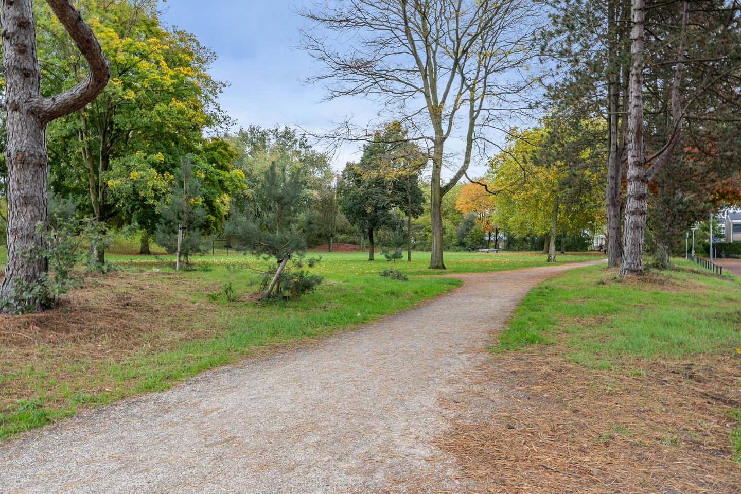 Foto 34 van Lauwere 609