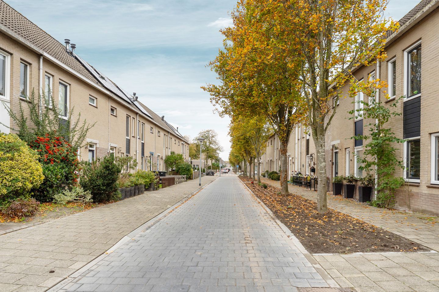 Foto 35 van Vivaldipad 52