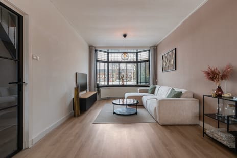 Van Baerlestraat thumbnail