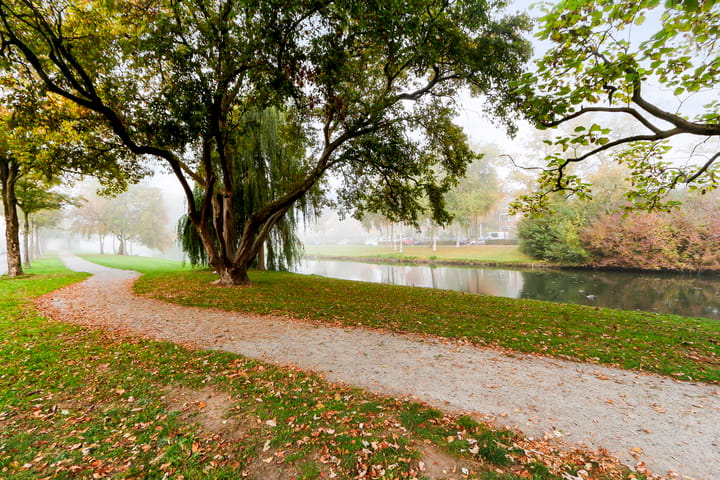 Foto 35 van Van Baerlestraat 62