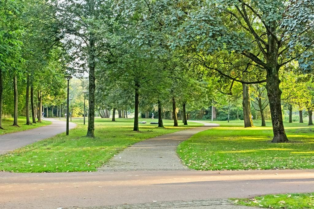 Foto 44 van Brahmsstraat 16-2