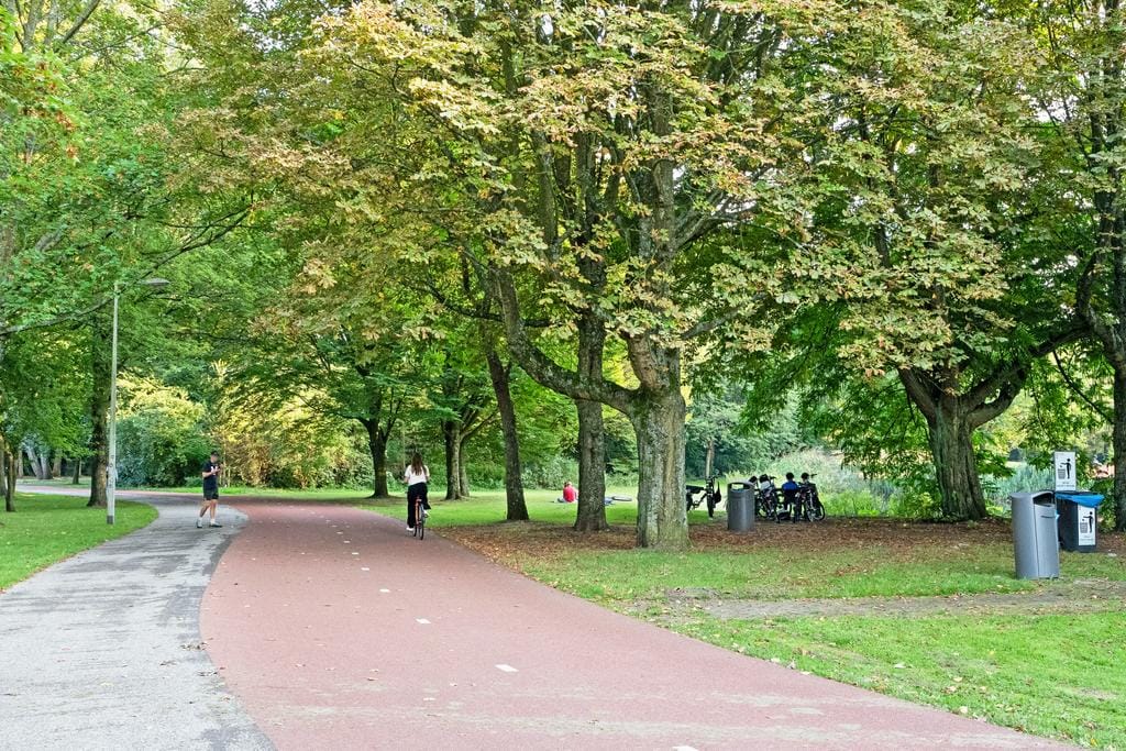 Foto 45 van Brahmsstraat 16-2