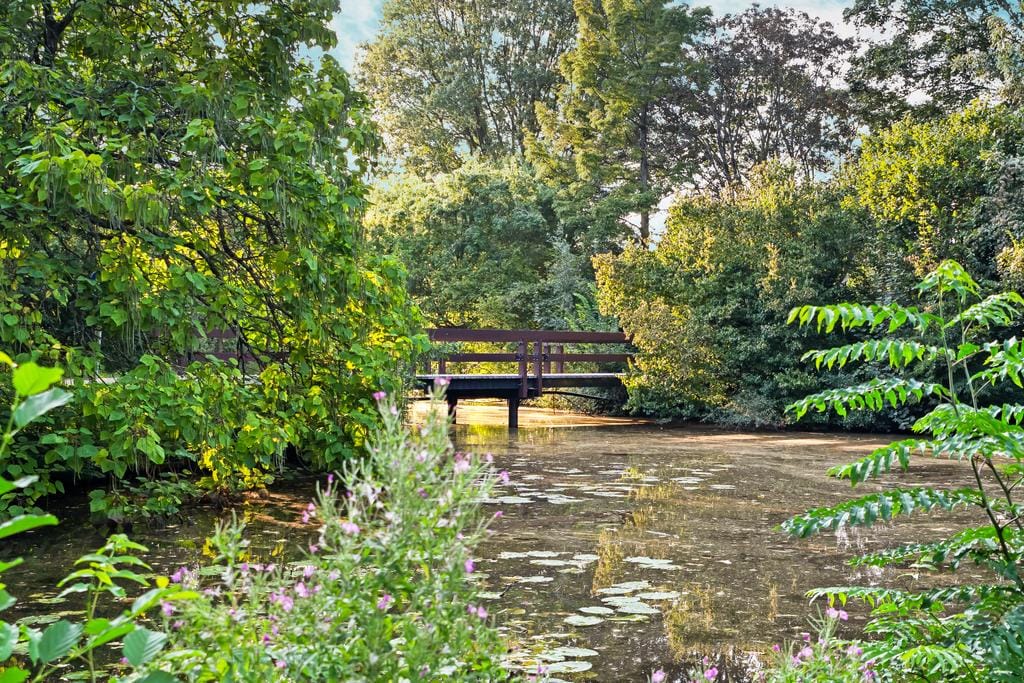 Foto 46 van Brahmsstraat 16-2