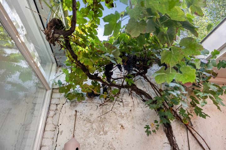 Foto 8 van Tempeliersstraat 44