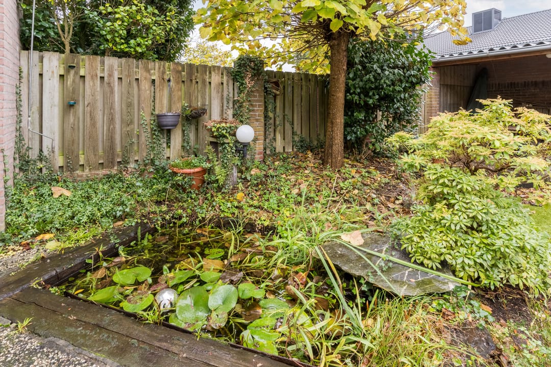 Photo 37 of Provisorstraat 24