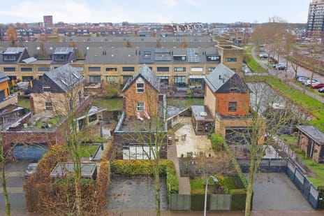 Zwanebloem thumbnail