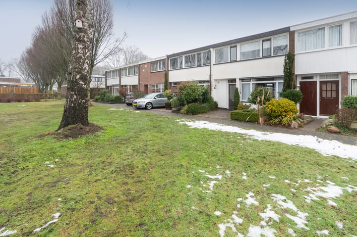 Foto 30 van Thedingecamp 39