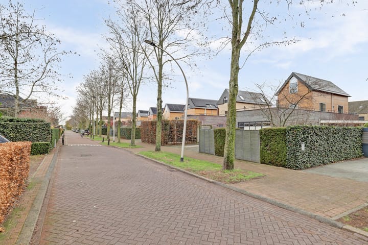 Foto 56 van Zwanebloem 4