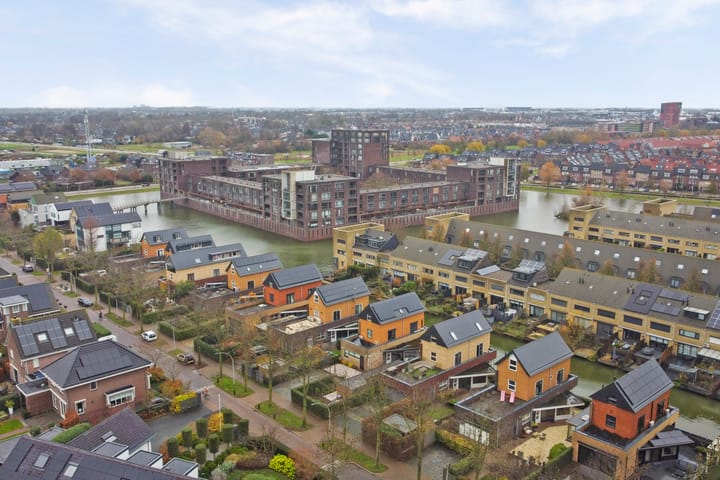 Foto 60 van Zwanebloem 4