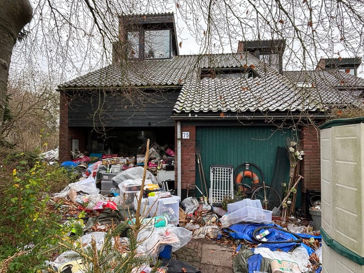 Foto 2 van Goudwespmeent 75