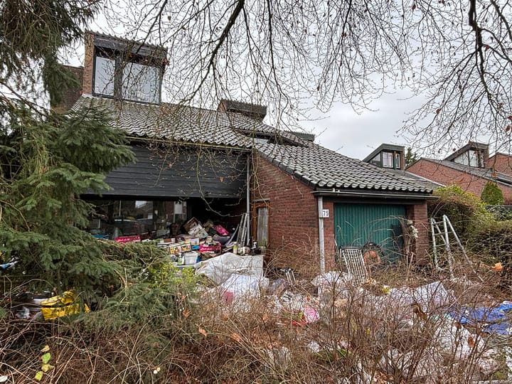 Foto 3 van Goudwespmeent 75