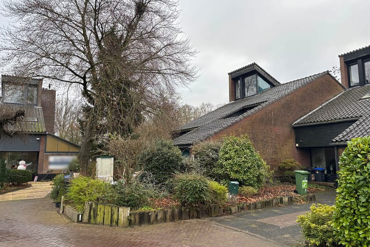 Foto 4 van Goudwespmeent 75