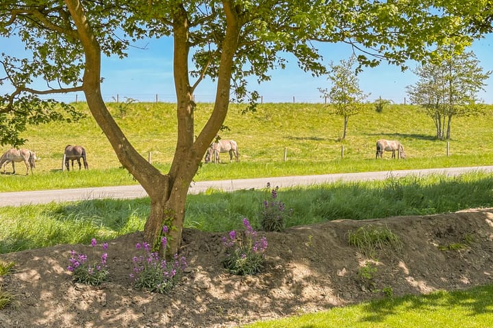 Foto 54 van Abelenlaan 2