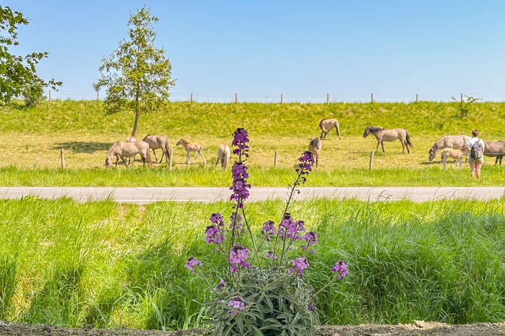 Foto 55 van Abelenlaan 2