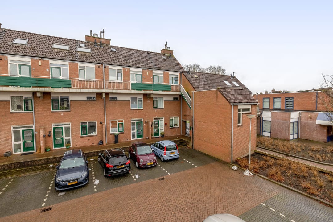 Foto 1 van Penningkruid 9