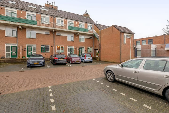 Foto 5 van Penningkruid 9