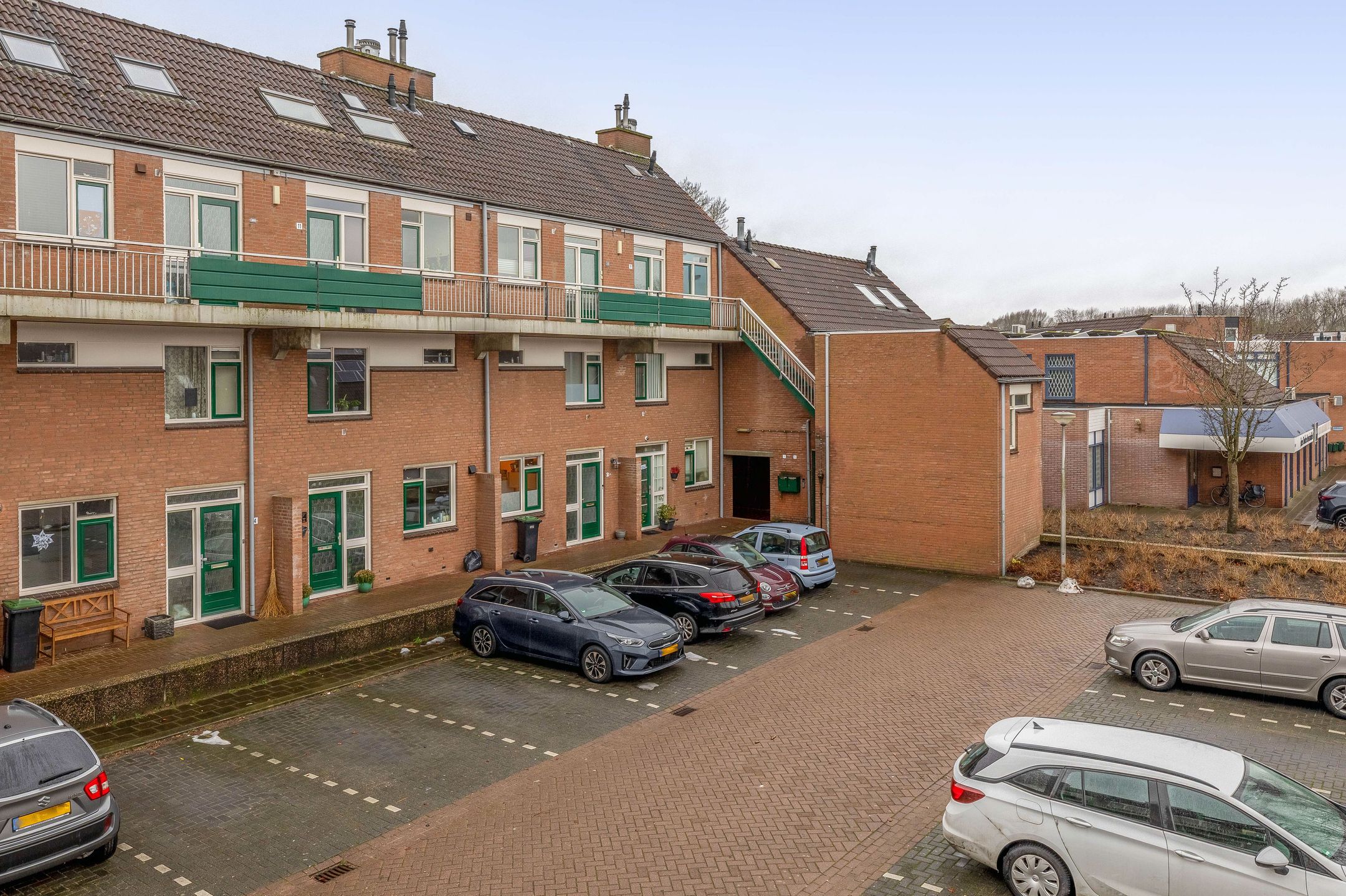 Foto 6 van Penningkruid 9