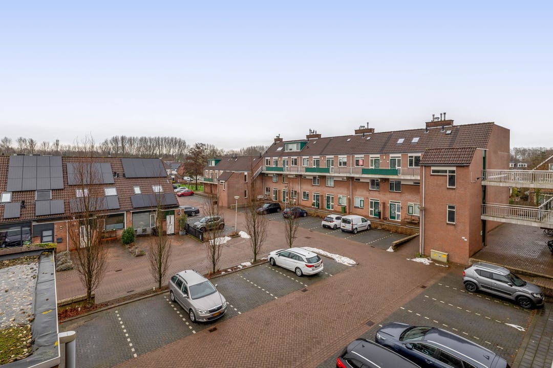 Foto 7 van Penningkruid 9