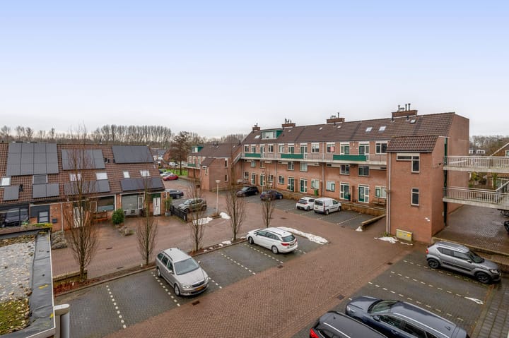 Foto 7 van Penningkruid 9