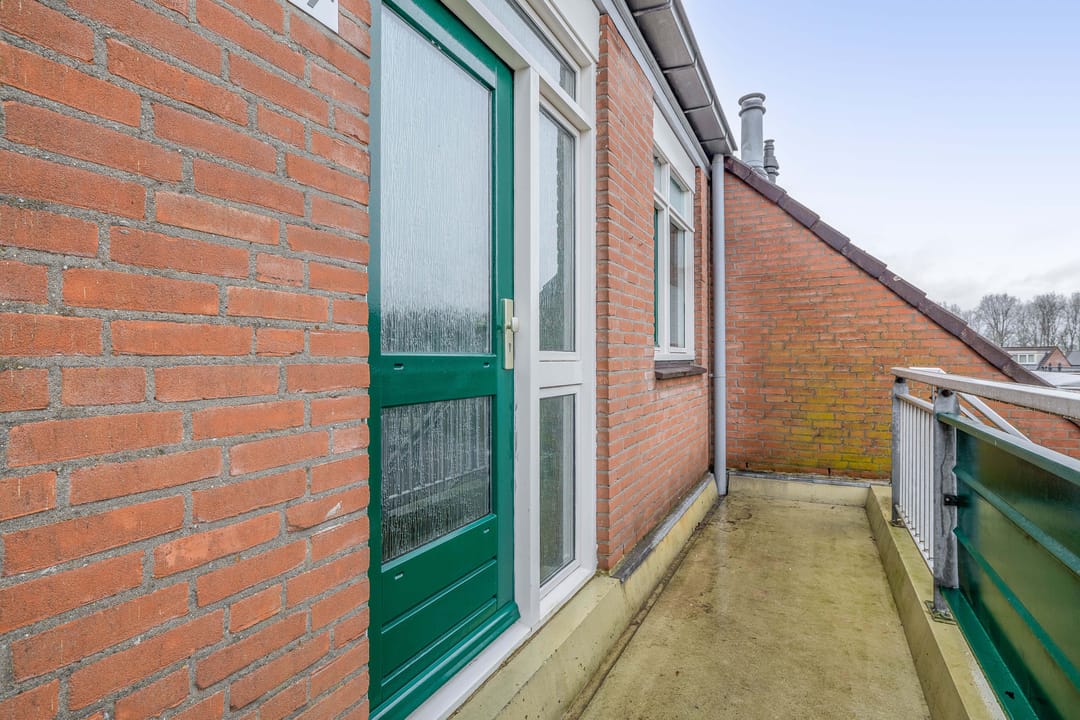 Foto 8 van Penningkruid 9