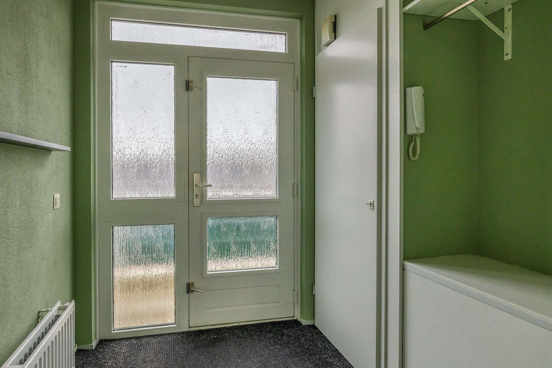 Foto 9 van Penningkruid 9