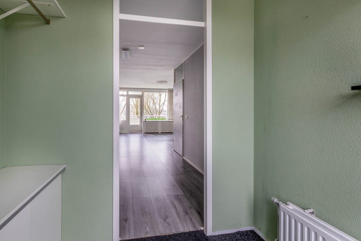 Foto 10 van Penningkruid 9