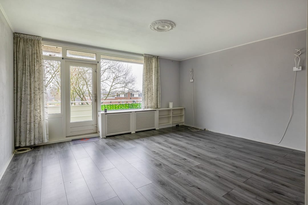 Foto 11 van Penningkruid 9