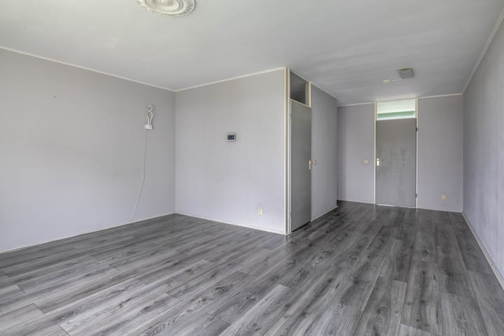 Foto 12 van Penningkruid 9