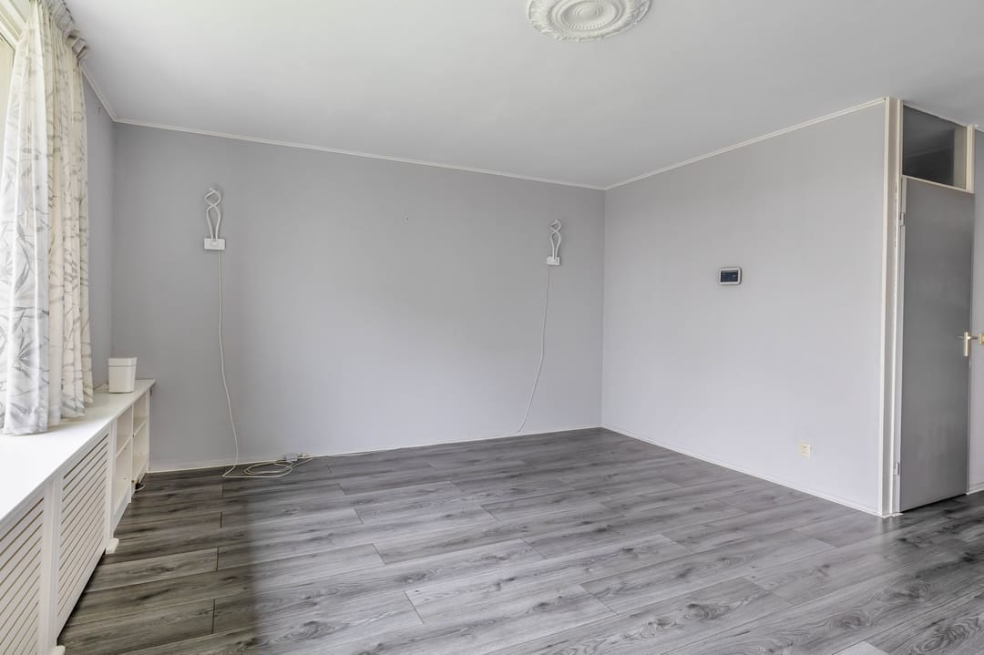 Foto 13 van Penningkruid 9