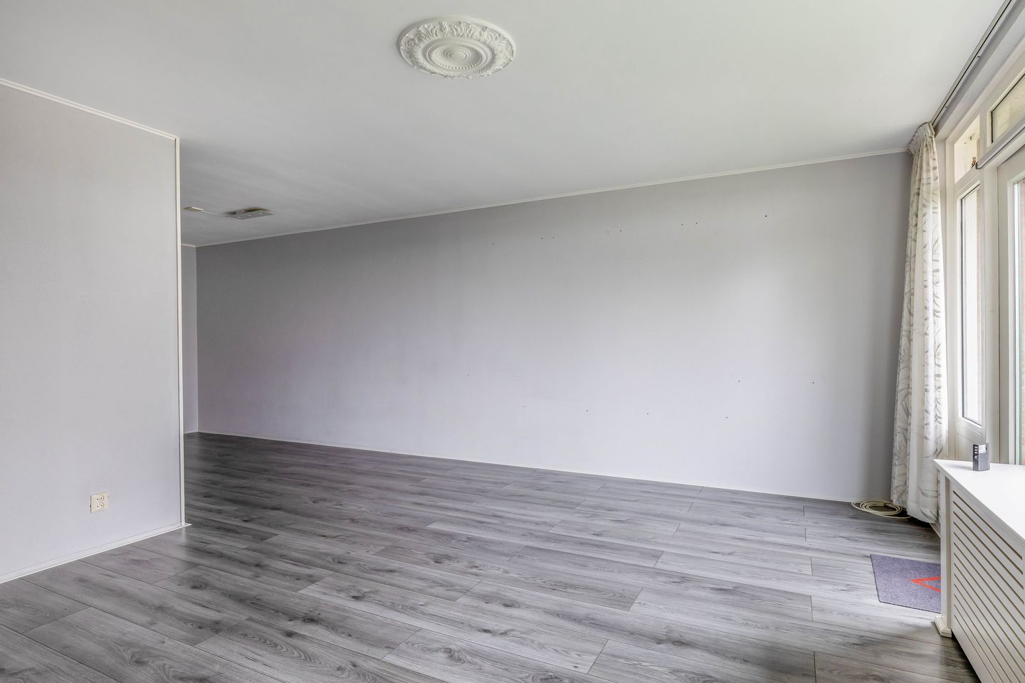 Foto 14 van Penningkruid 9