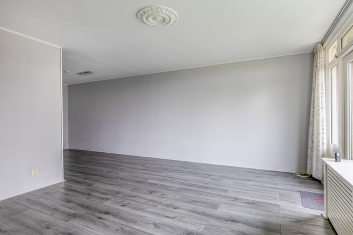 Foto 14 van Penningkruid 9