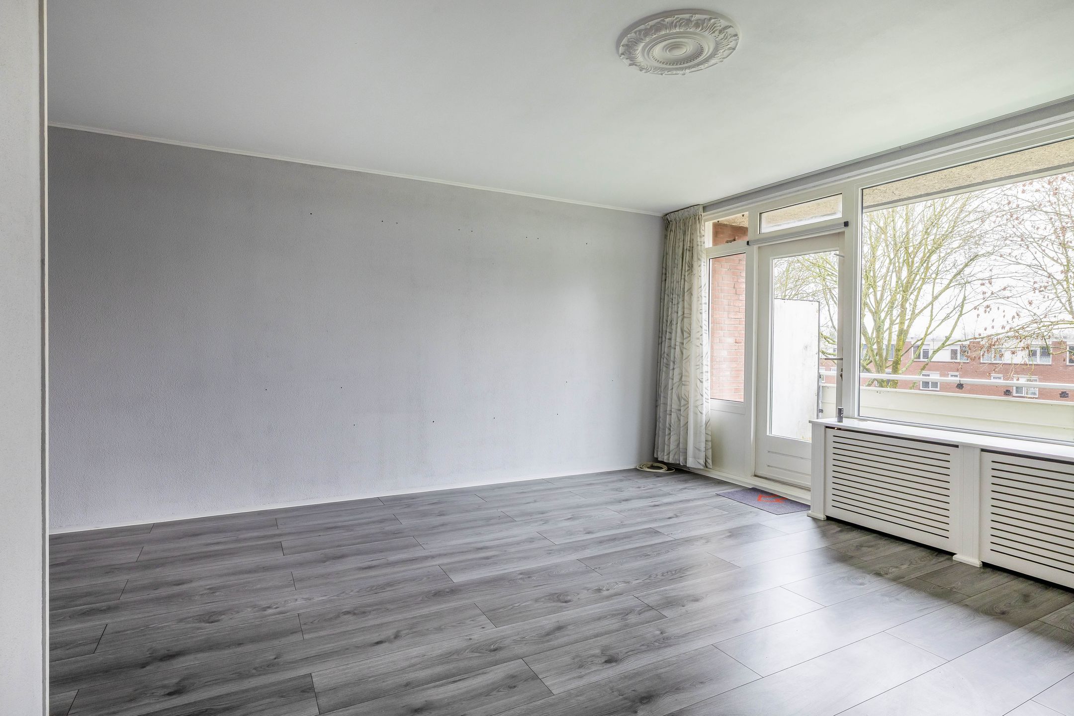 Foto 15 van Penningkruid 9