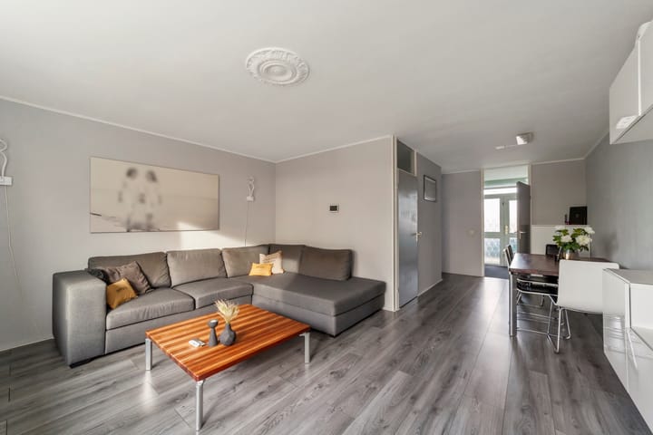 Foto 18 van Penningkruid 9