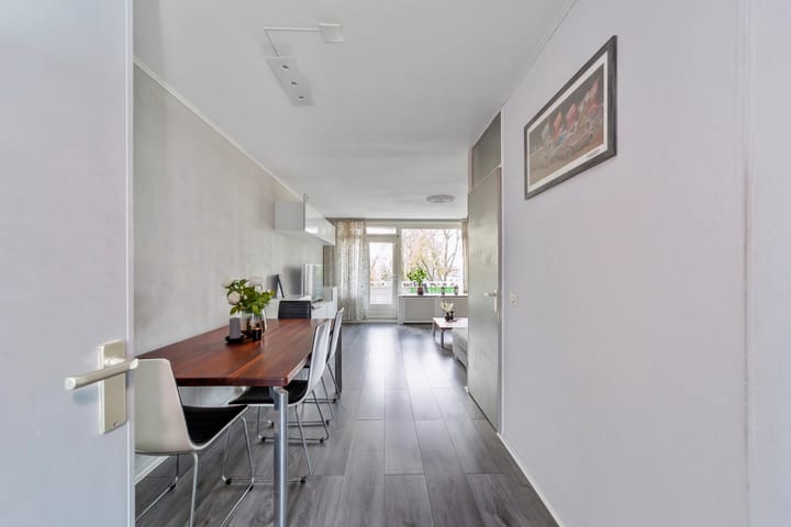 Foto 20 van Penningkruid 9