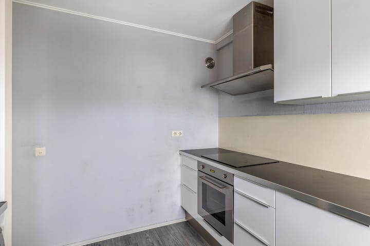 Foto 23 van Penningkruid 9