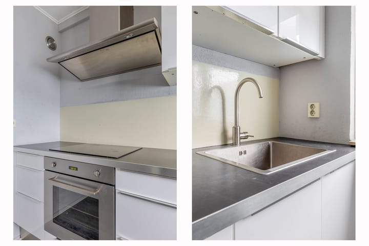 Foto 24 van Penningkruid 9